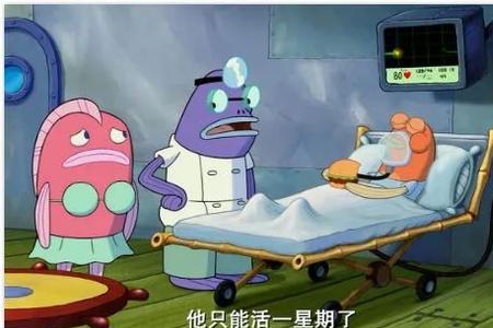 你好我是海绵宝宝下一句是什么