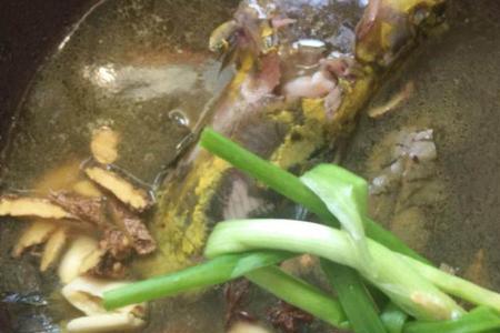 冬天黄鸭叫开口吗