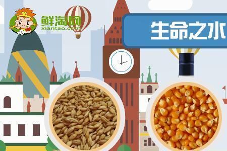 生命水是什么东西