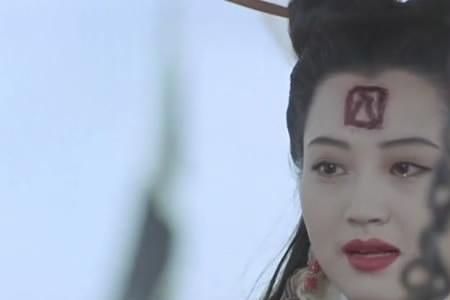 秦颂深度解析
