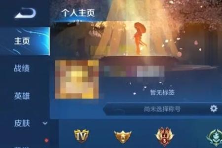 王者游戏编号是什么