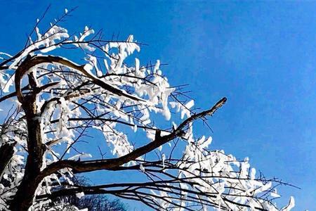 雪落无尘原唱