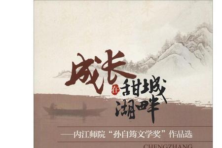 赵明沈岚清的小说叫什么