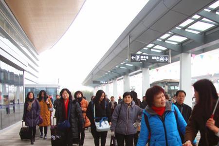 散客旅行的原因