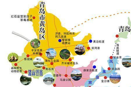 青岛地区宫姓人主要分布在那里