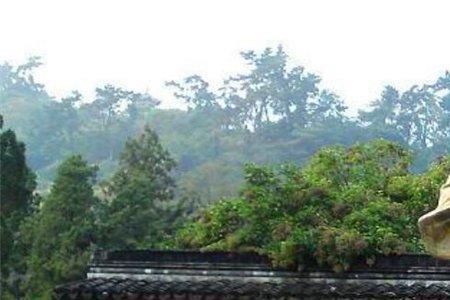 天下兴亡匹夫有责的反义词