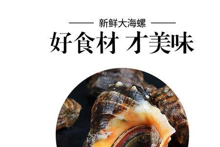 一桶海螺重多少斤
