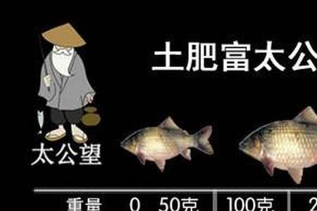 小五目三本钩多大