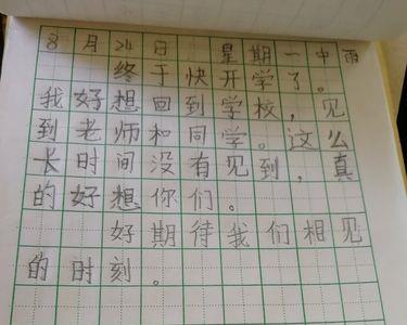 暑假最适合写什么日记