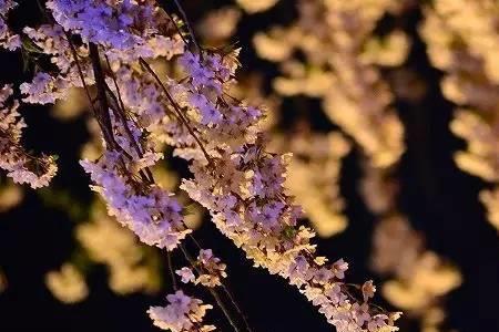 5月8日是什么季节