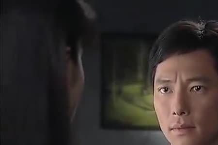 木棉花的春天什么意思
