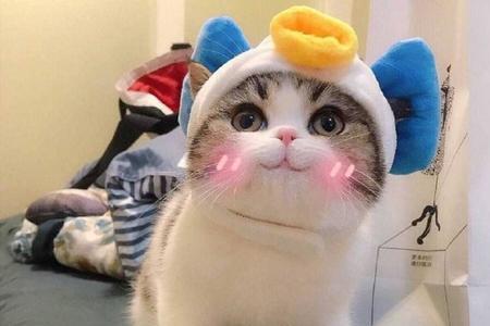 对方是我的亲星什么意思