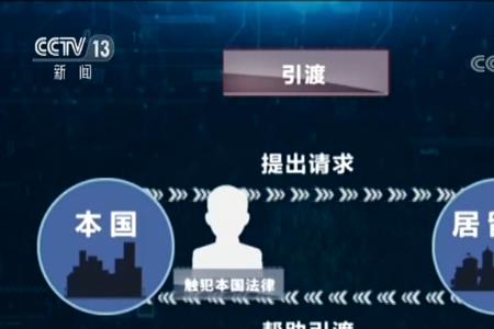 国家追诉是什么意思