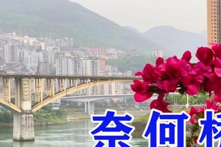 谁在奈何桥上等我原唱现场版