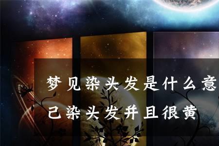 染染是什么意思