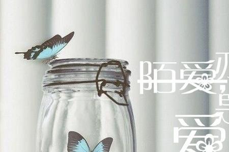 有所爱亦被爱什么意思