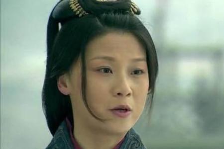 魏豹夫人及儿子简介