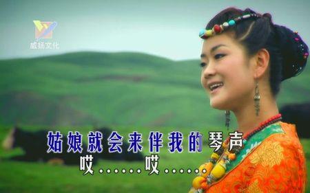 沈小慧歌曲全集