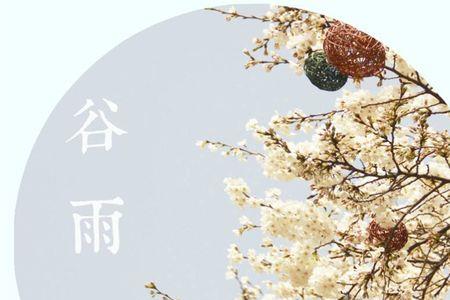 小惊鸿谷雨剧情