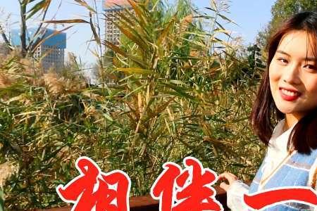 相伴一生原唱完整版夫妻对唱
