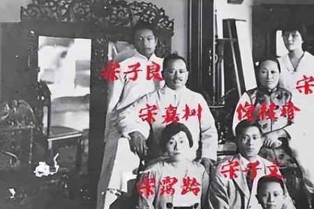 宋氏南迁的原因