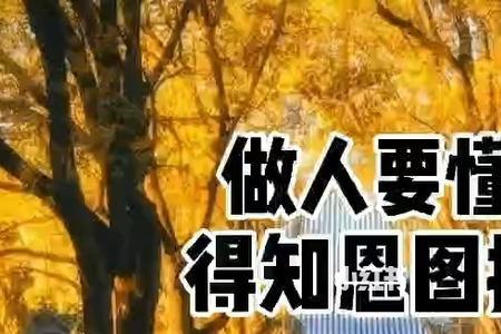 知恩图报形容谁