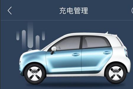 欧拉携带充电器是多少瓦