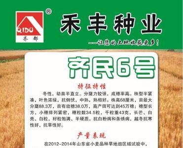 山农28小麦种子审定公告