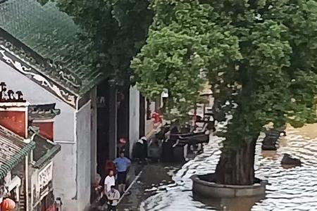 西江涨水的文案