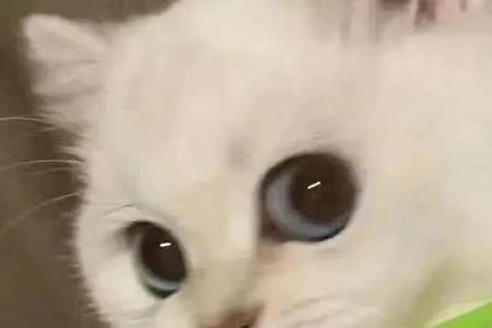 别人发花缥缈的表情包怎么回复