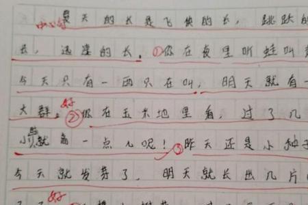 三年级什么是什么也是什么仿写