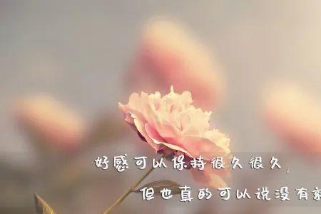 别人说入心最重要怎么回复