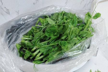 不是我的菜是什么意思