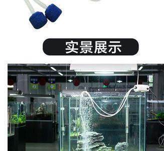龙王恨充氧泵开不了机