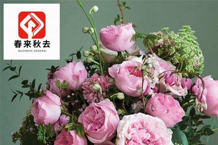 凯丽月季花语