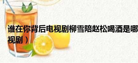 谁在你背后柳雪的扮演者赵英英