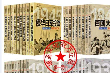 抗战从南京保卫战开始的小说