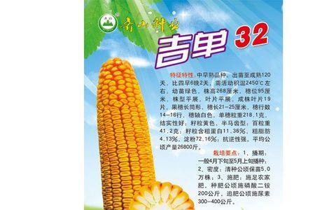 吉洋132水稻品种