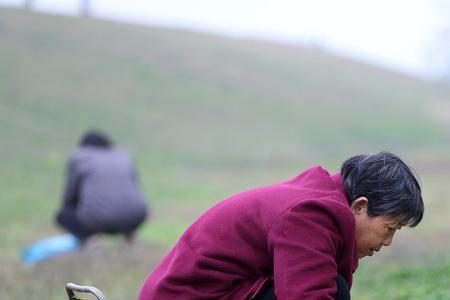 女生说我去挖野菜什么意思