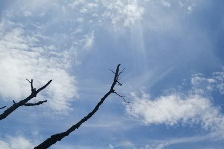 风是多情的流浪诗人文案