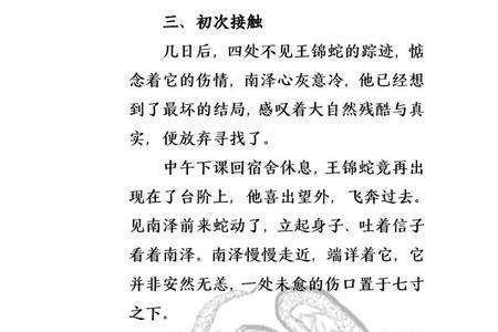 穿越文关于蛇的小说