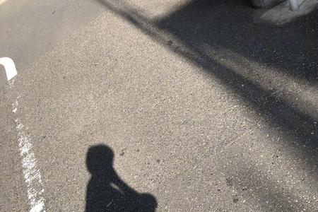 忠于一人终于一人什么意思