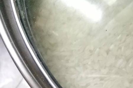 案板虫的学名和图片