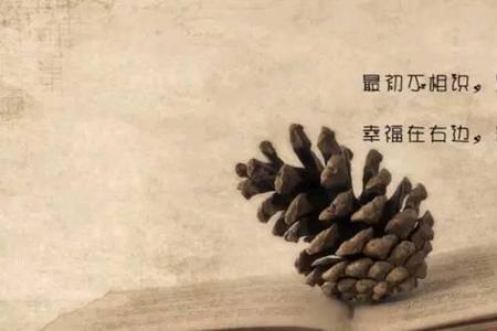 人走了谁还会记得