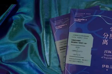 九胞胎误上飞机的小说名称