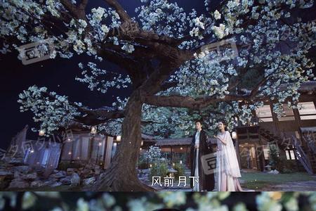 今夕复何夕，什么意思