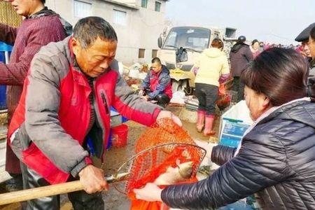 泰安大集市时间表2021