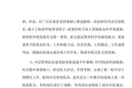 对班子成员个人评价优缺点