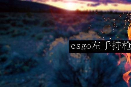csgo好用的持枪代码