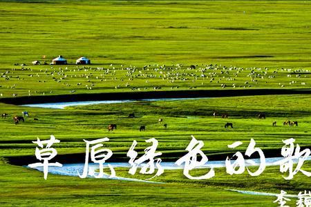 绿色的歌阅读理解答案